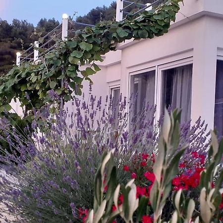 Vis - Luxury Holiday Villa With Swimming Pool Экстерьер фото